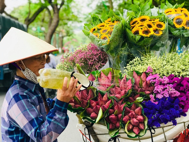 Bỏ tiền thật mua phải hoa sen giả, khách tự rước cục tức vào mình - Ảnh 4.