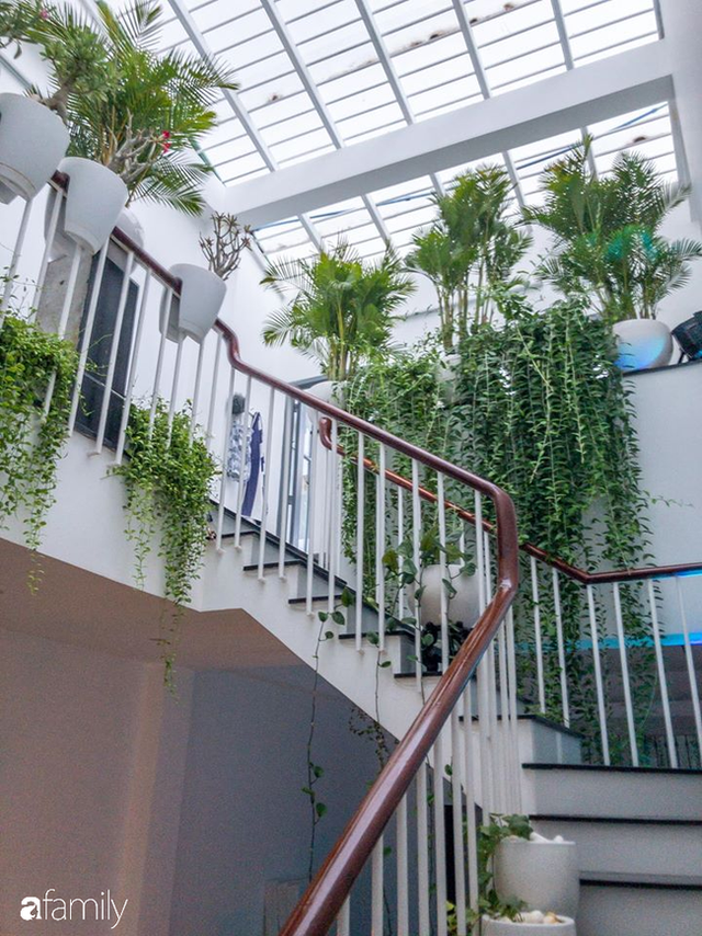Giữa Sài Gòn náo nhiệt, vẫn có căn nhà ống cực chill và không gian xanh mát với chi phí 20 triệu đồng mua cây xanh - Ảnh 5.