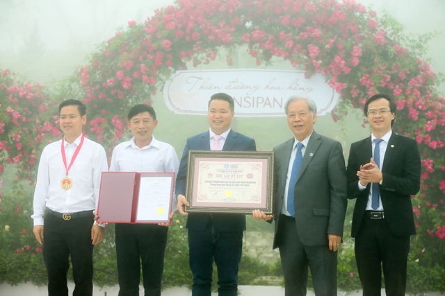 Kỷ lục thung lũng hoa hồng lớn nhất Việt Nam tại Sapa có gì đặc biệt? - Ảnh 2.