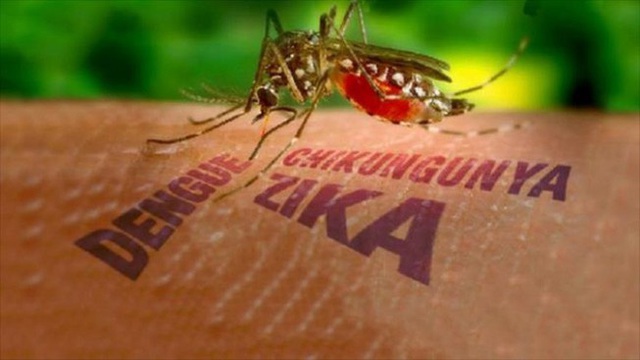 Bất ngờ phát hiện nam thanh niên ở Đà Nẵng mắc virus Zika - Ảnh 1.