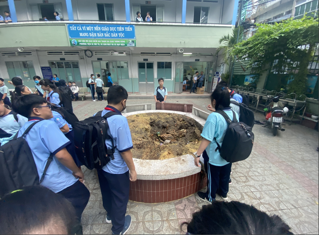 Hiệu trưởng THCS Bạch Đằng quyết định cho học sinh đi học ngay sau sự cố cây phượng đổ: Phụ huynh lo lắng nhưng tin vào trường - Ảnh 12.