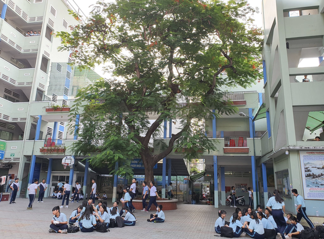 Hiệu trưởng THCS Bạch Đằng quyết định cho học sinh đi học ngay sau sự cố cây phượng đổ: Phụ huynh lo lắng nhưng tin vào trường - Ảnh 4.