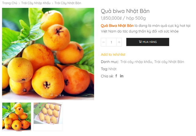 Thứ quả nh&agrave; gi&agrave;u 3-4 triệu/kg ở Việt Nam, b&ecirc;n Nhật cho kh&ocirc;ng cả rổ - Ảnh 7.