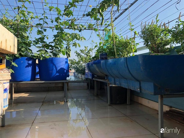 Chỉ với 2 năm kinh nghiệm làm vườn, mẹ đảm ở Đồng Nai đã biến sân thượng 50m² thành trang trại thu nhỏ - Ảnh 3.