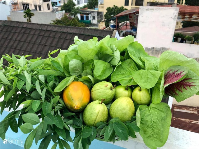 Chỉ với 2 năm kinh nghiệm làm vườn, mẹ đảm ở Đồng Nai đã biến sân thượng 50m² thành trang trại thu nhỏ - Ảnh 31.