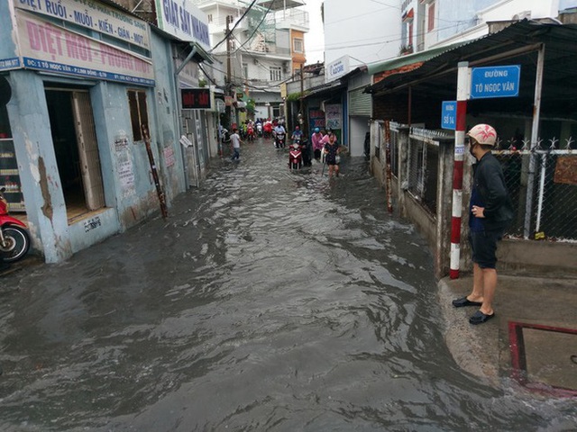  Cây đổ, đường phố Sài Gòn mênh mông nước sau trận mưa cực lớn - Ảnh 3.