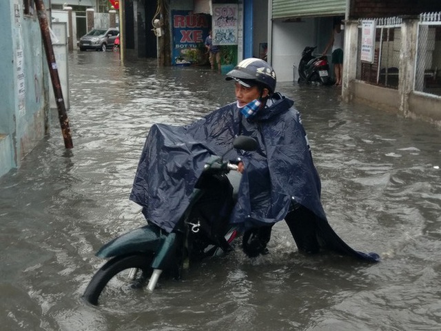  Cây đổ, đường phố Sài Gòn mênh mông nước sau trận mưa cực lớn - Ảnh 4.