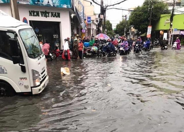  Cây đổ, đường phố Sài Gòn mênh mông nước sau trận mưa cực lớn - Ảnh 8.