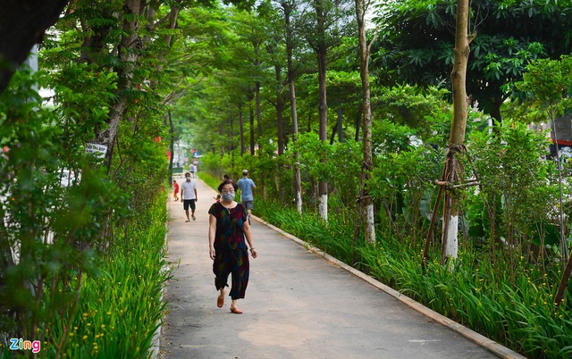 Đường đi bộ tràn cây xanh mới xuất hiện ở Hà Nội - Ảnh 1.