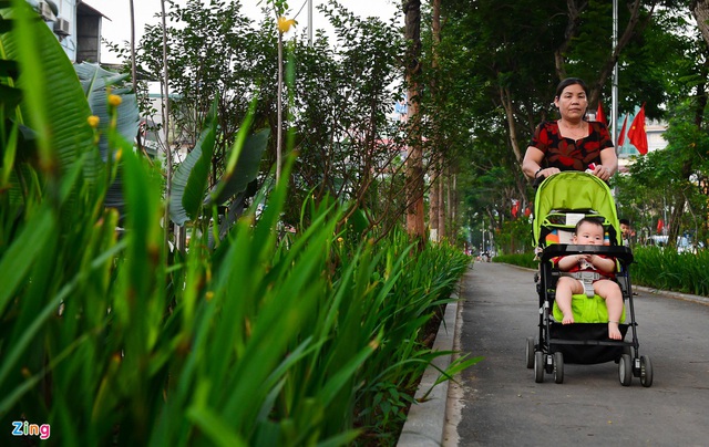 Đường đi bộ tràn cây xanh mới xuất hiện ở Hà Nội - Ảnh 5.