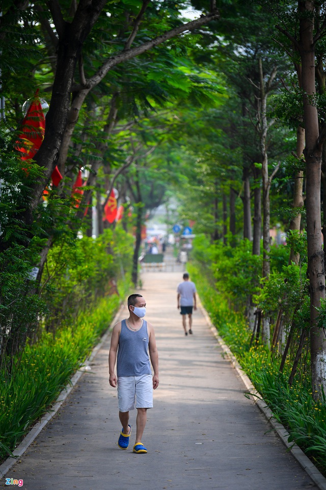 Đường đi bộ tràn cây xanh mới xuất hiện ở Hà Nội - Ảnh 8.