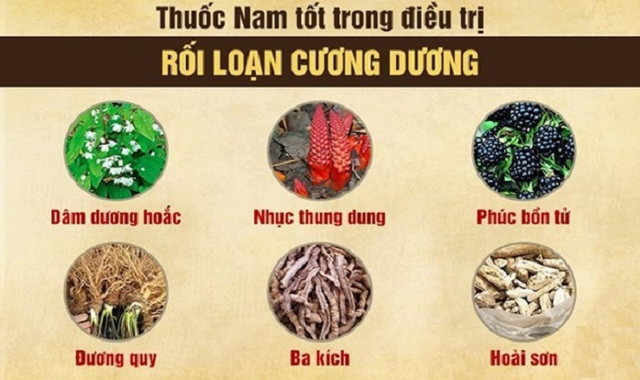 Giải pháp đông y khắc phục yếu sinh lý nam giới hiệu quả, bền vững, an toàn - Ảnh 4.