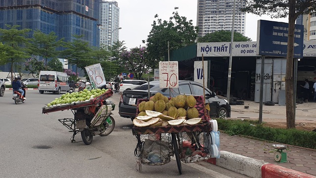 Điểm danh trái cây siêu rẻ bán ngập vỉa hè nhưng không rõ xuất xứ, chất lượng - Ảnh 12.