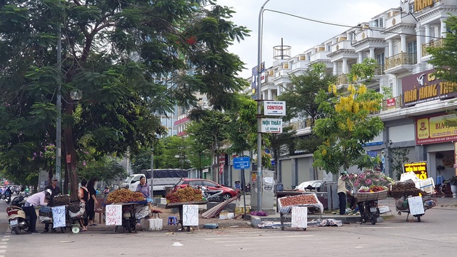 Điểm danh trái cây siêu rẻ bán ngập vỉa hè nhưng không rõ xuất xứ, chất lượng - Ảnh 1.