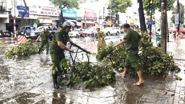 Mưa lớn khiến nhiều cây xanh nội đô Cần Thơ bật gốc đè vào ô tô - Ảnh 5.