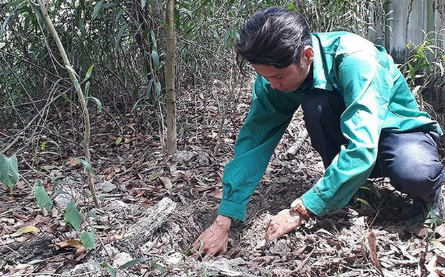 Thi thể thai nhi đang phân hủy được công nhân phát hiện khi phân loại rác tại nhà máy - Ảnh 2.