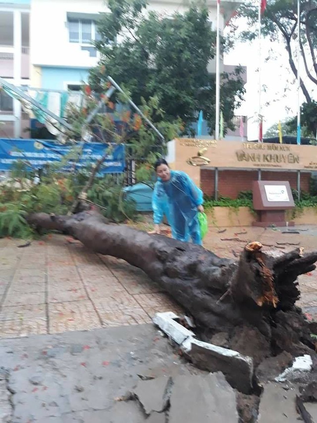 TP.HCM: C&agrave;nh c&acirc;y g&atilde;y trong mưa, đ&egrave; một người đi đường tử vong - Ảnh 3.