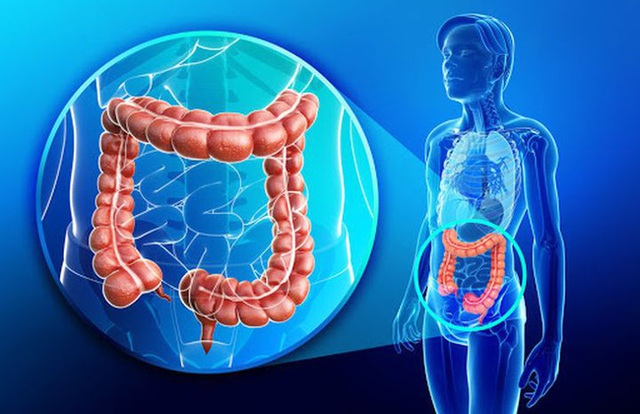 Sau 45 tuổi, cơ thể có 3 nơi càng sạch thì càng sống thọ - Ảnh 3.