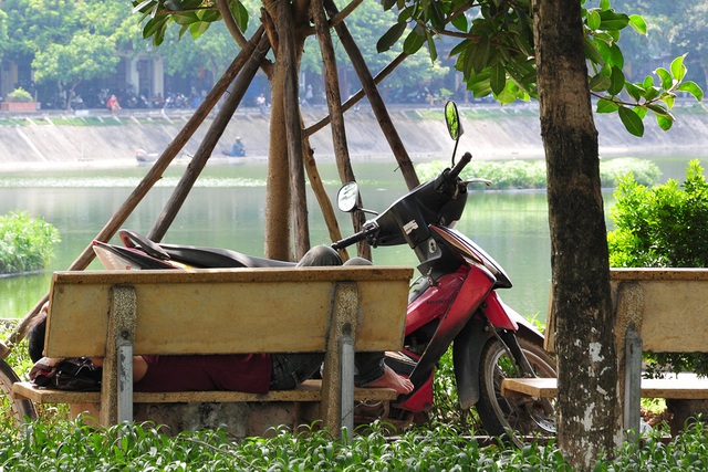 Những điểm nghỉ trưa tránh nóng lý tưởng của dân lao động - Ảnh 2.