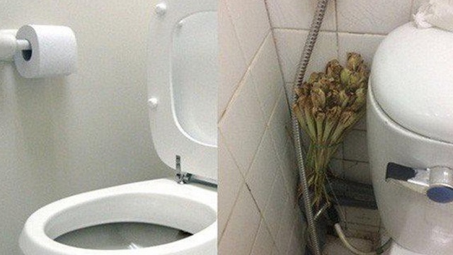 Những mẹo khử mùi nhà vệ sinh thần thánh, các chị em nên thử ngay! - Ảnh 7. Những mẹo khử mùi nhà vệ sinh thần thánh, các chị em nên thử ngay! - Ảnh 7.