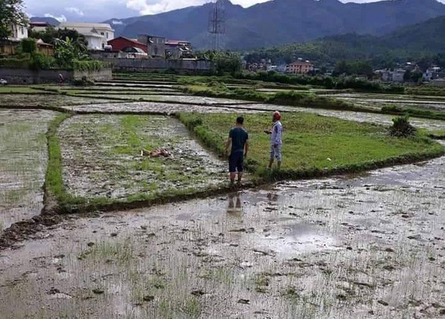 Nóng: Thảm án kinh hoàng 3 người tử vong ở Điện Biên - Ảnh 1.