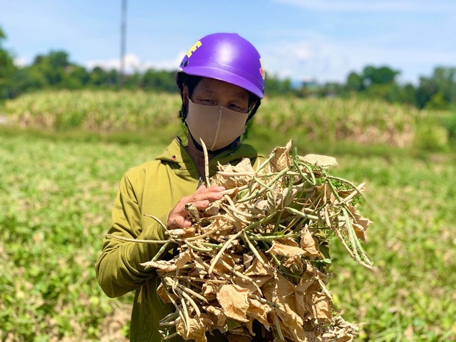 Người dân miền Trung quay quắt trong chảo lửa - Ảnh 1.