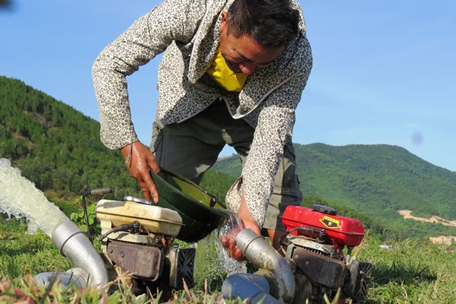 Nghệ An: Nắng nóng kéo dài, nguy cơ hơn 10 ngàn ha lúa gặp hạn - Ảnh 5.