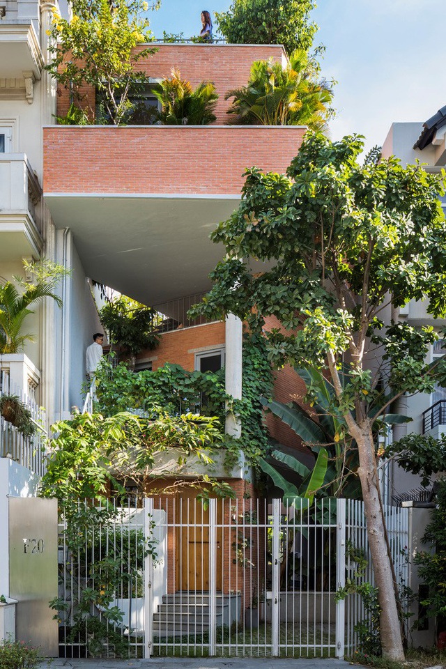 Ngôi nhà xanh dành cho gia đình 3 thế hệ tại Sài Gòn - Ảnh 1.