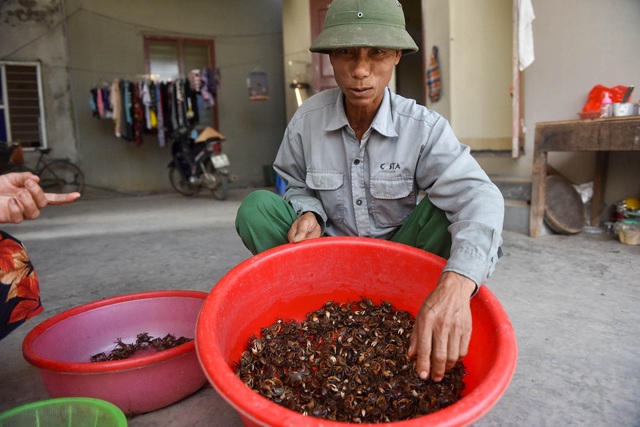 Lộc trời ở Hải Dương, giật nhẹ bỏ giỏ đếm tiền - Ảnh 8.