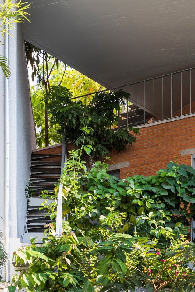 Ngôi nhà xanh dành cho gia đình 3 thế hệ tại Sài Gòn - Ảnh 10.