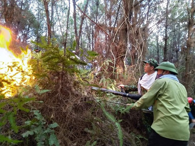 Nắng nóng gay gắt, cháy rừng ở Hà Tĩnh bùng phát trở lại - Ảnh 1.