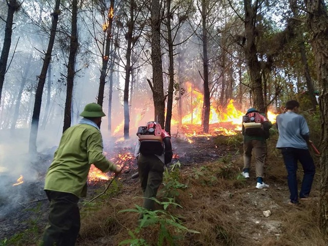 Nắng nóng gay gắt, cháy rừng ở Hà Tĩnh bùng phát trở lại - Ảnh 2.