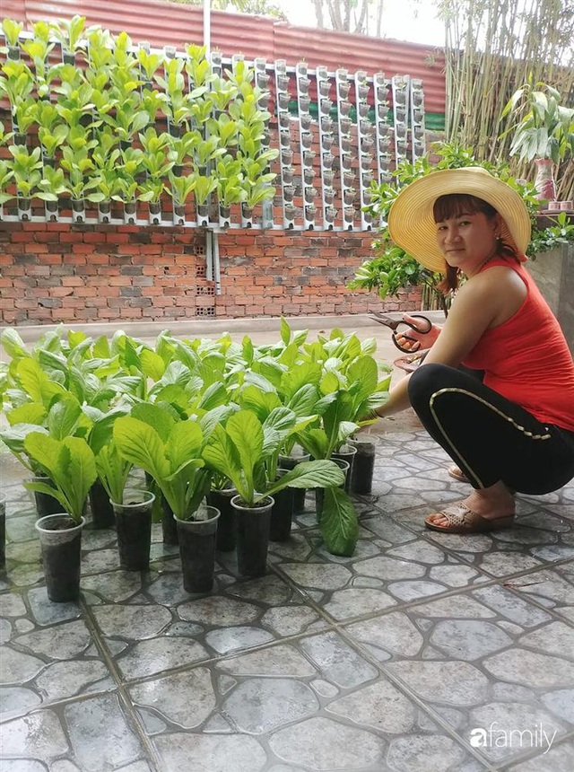 Không có đất trồng rau, mẹ đảm ở Sài Gòn vẫn tạo ra được vườn rau sạch trên tường nhờ tận dụng ống nhựa bỏ đi - Ảnh 2.