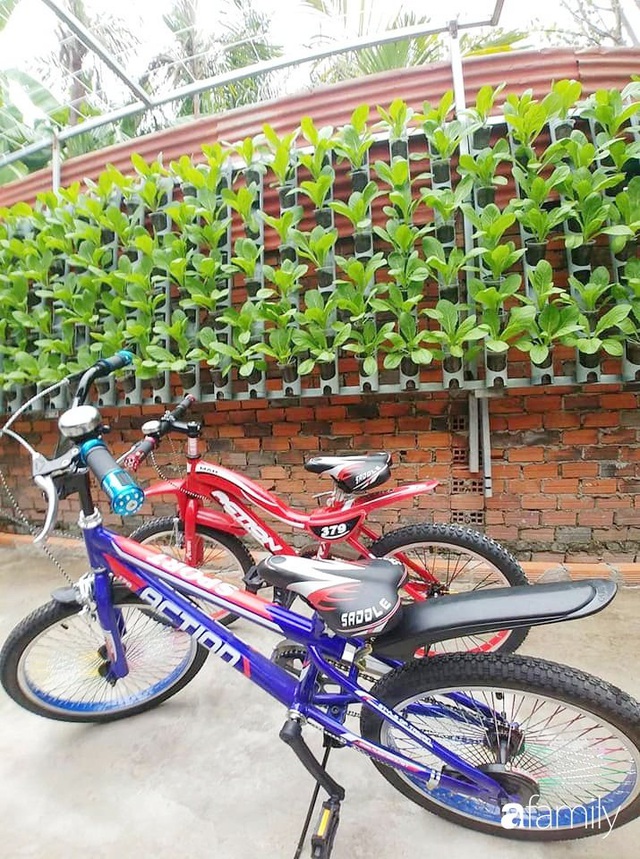 Không có đất trồng rau, mẹ đảm ở Sài Gòn vẫn tạo ra được vườn rau sạch trên tường nhờ tận dụng ống nhựa bỏ đi - Ảnh 14.