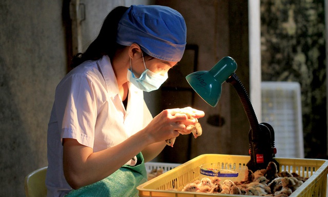 Si&ecirc;u sao soi giới t&iacute;nh g&agrave;, kiếm 60 triệu mỗi th&aacute;ng - Ảnh 2.