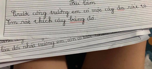 Cười đau bụng với những bài văn tả cây yêu thích của học sinh lớp 1 - Ảnh 1.