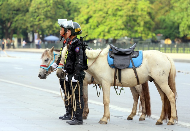 Ảnh, video đoàn kỵ binh Cảnh sát cơ động diễu hành trước quảng trường Ba Đình  - Ảnh 5.