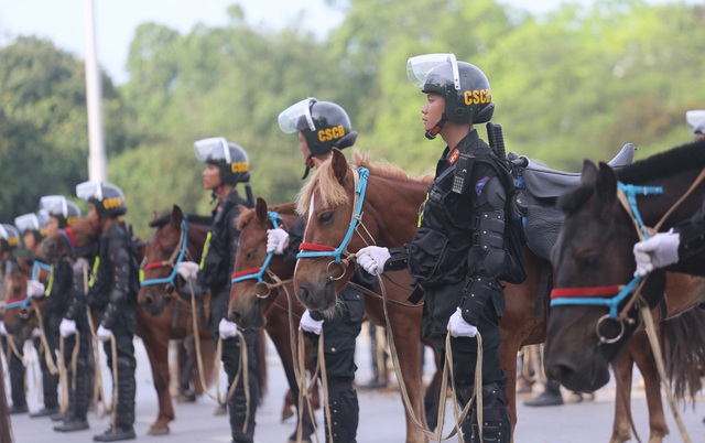 Giống ngựa của Đoàn CSCĐ kỵ binh diễu hành trước Quảng trường Ba Đình có đặc điểm gì nổi bật? - Ảnh 3.