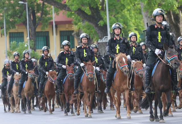 Có thể sử dụng thêm giống ngựa Bắc Hà để xây dựng Đoàn Cảnh sát cơ động kỵ binh - Ảnh 2.