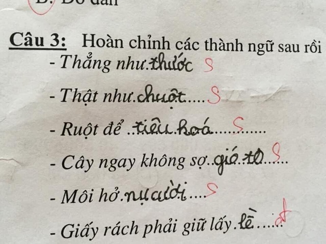 Cười chảy nước mắt với bài tập tiếng Việt của học sinh tiểu học - Ảnh 1.