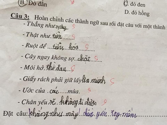 Cười chảy nước mắt với bài tập tiếng Việt của học sinh tiểu học - Ảnh 3.