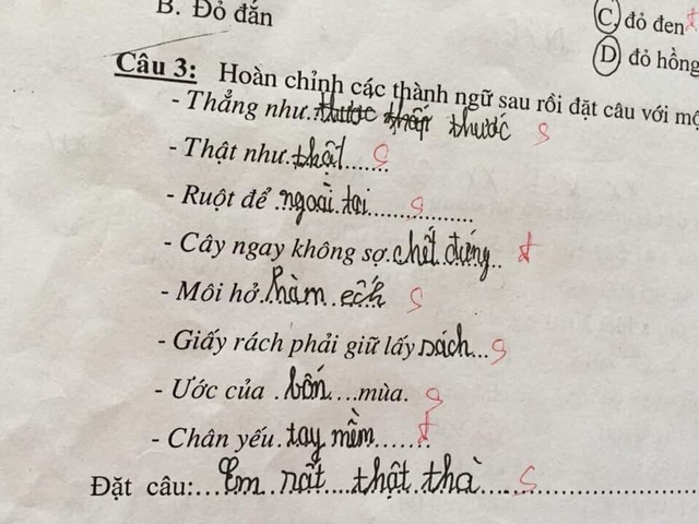 Cười chảy nước mắt với bài tập tiếng Việt của học sinh tiểu học - Ảnh 4.