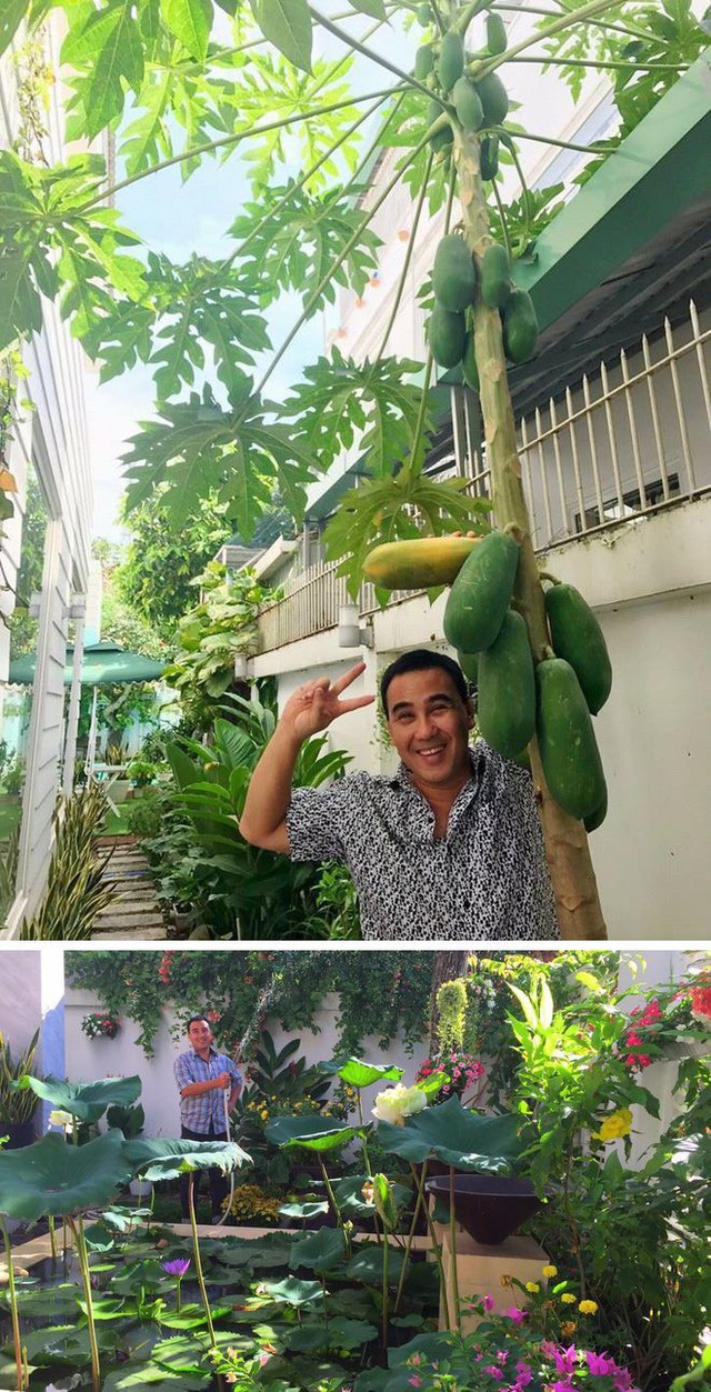 Sân vườn trong biệt thự bạc tỷ của 3 nam diễn viên nổi tiếng nhất nhì showbiz Việt, ai nhìn cũng phải ngưỡng mộ - Ảnh 27.