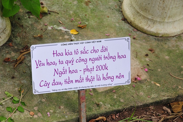 Những bảng cảnh báo cực kỳ nhẹ nhàng, dễ thương nhưng lại khiến du khách tuân thủ răm rắp - Ảnh 8.