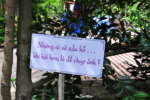 Những bảng cảnh báo cực kỳ nhẹ nhàng, dễ thương nhưng lại khiến du khách tuân thủ răm rắp - Ảnh 4.