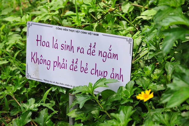 Những bảng cảnh báo cực kỳ nhẹ nhàng, dễ thương nhưng lại khiến du khách tuân thủ răm rắp - Ảnh 5.