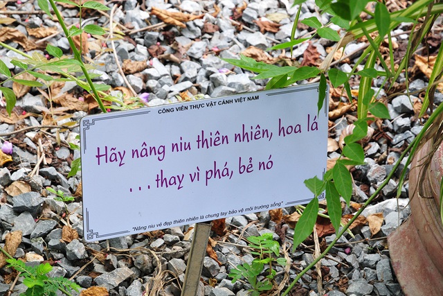 Những bảng cảnh báo cực kỳ nhẹ nhàng, dễ thương nhưng lại khiến du khách tuân thủ răm rắp - Ảnh 9.