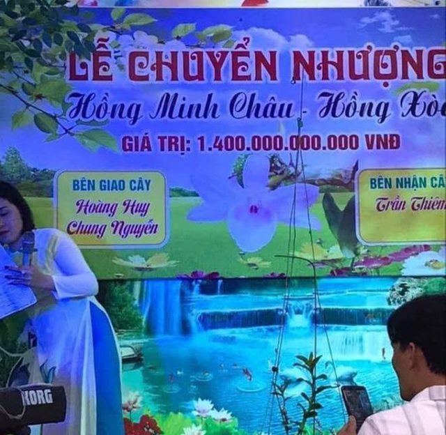 Náo loạn giao dịch hoa lan vài chục tỷ đồng: Làm giàu nhanh hơn buôn đất? - Ảnh 2.