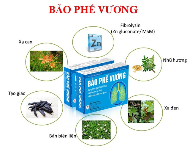 Bảo Phế Vương: Giải pháp cho người bị viêm phế quản kéo dài - Ảnh 3.