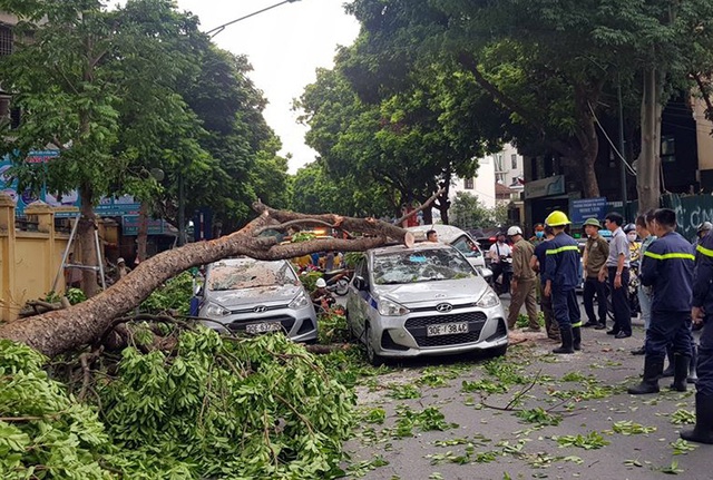 Hà Nội: Cây cổ thụ bất ngờ gãy đổ đè bẹp 3 ô tô trên đường Trần Hưng Đạo - Ảnh 3.